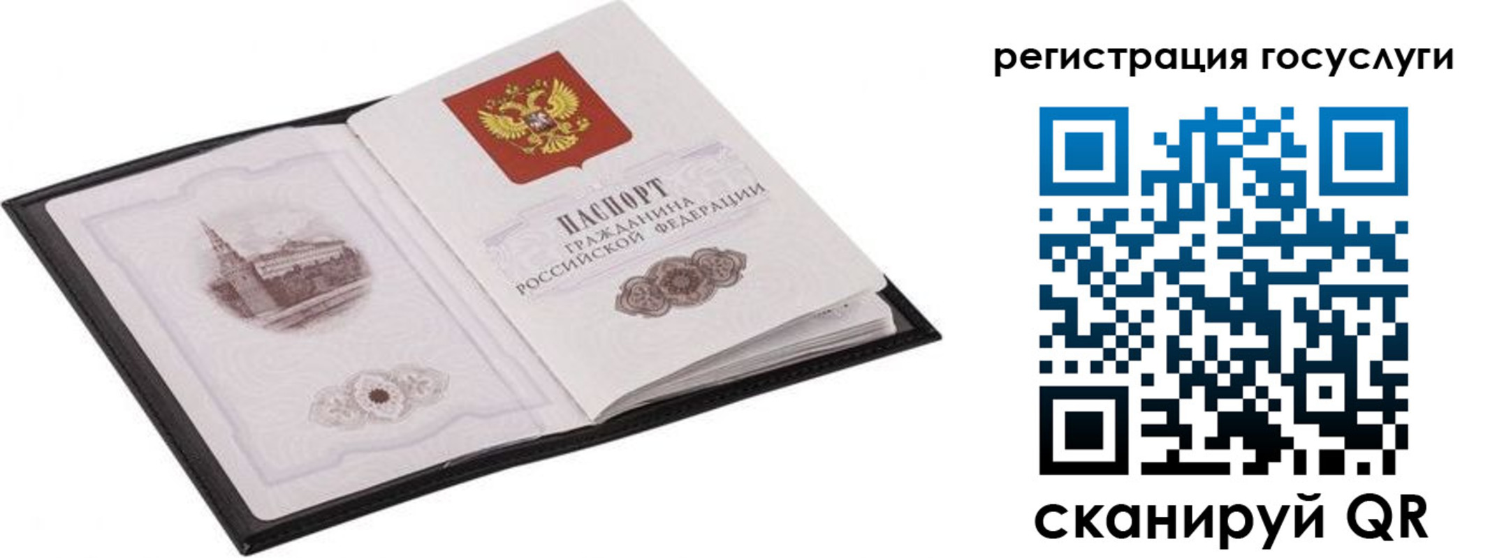 временная регистрация поиск в Мончегорске